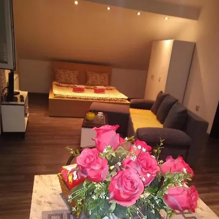 Ferienwohnung Happy House Belgrad Exterior foto